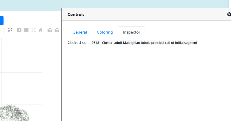 Fly Cell Atlas tutorial screenshot